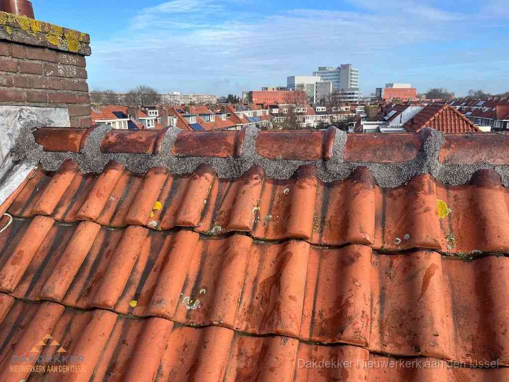 Nieuw bitumen plat dak met uitzicht over woonwijk in Nieuwerkerk aan den IJssel