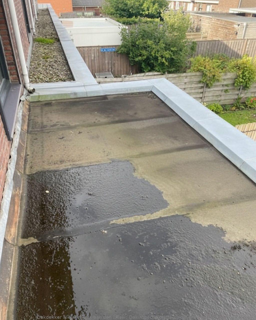 Dakinspectie Platte Daken Nieuwerkerk Aan Den Ijssel