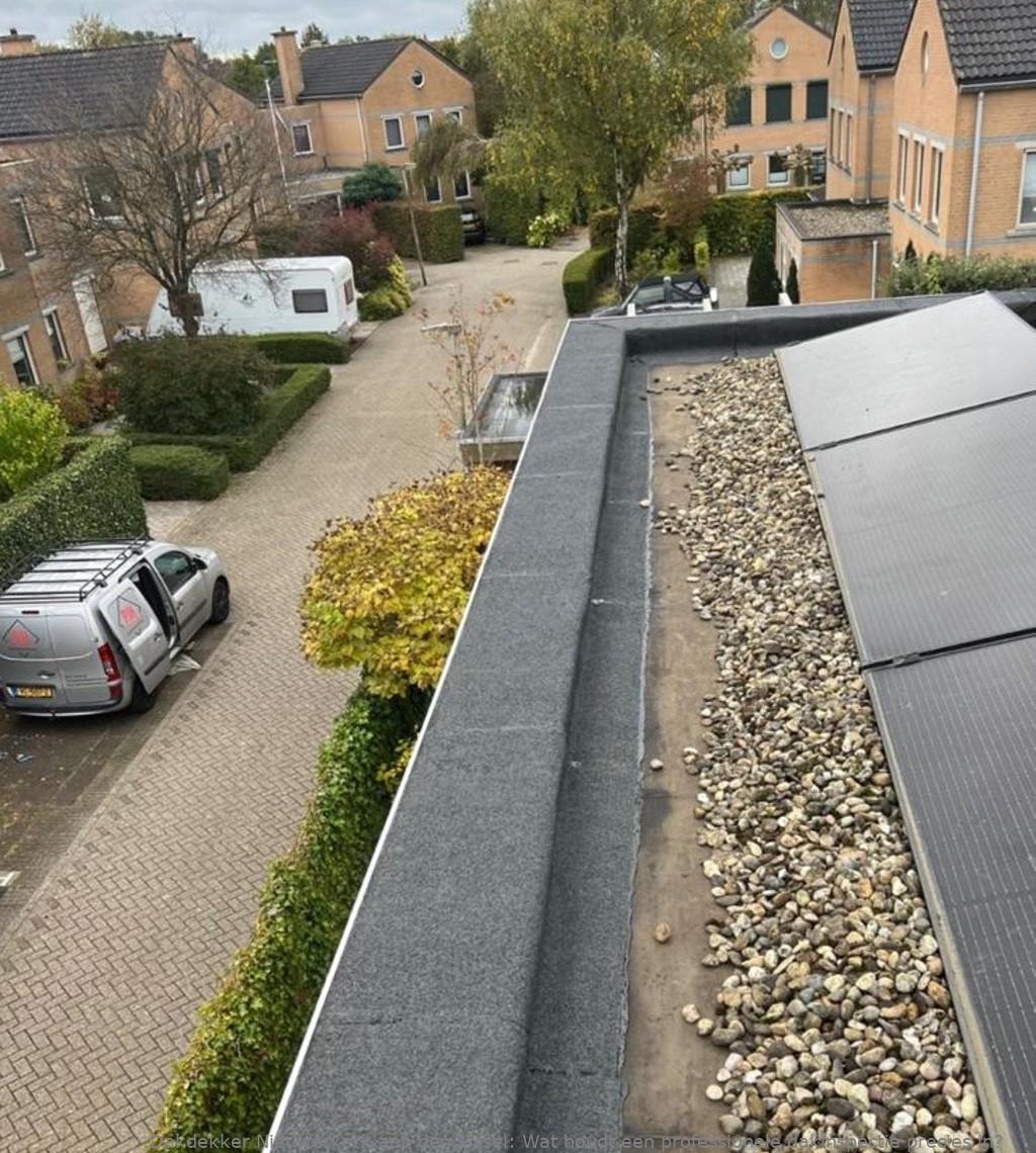 Professionele Dakinspectie Nieuwerkerk Aan Den Ijssel