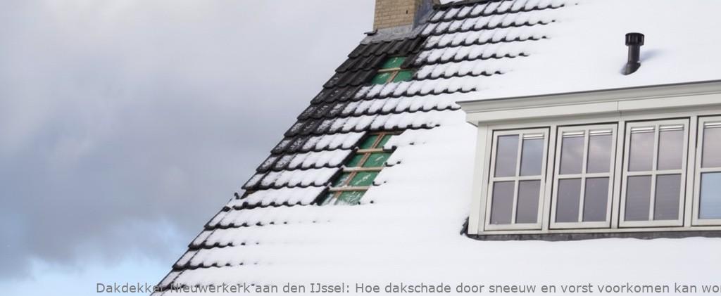 Schade Door Sneeuw En Vorst Nieuwerkerk Aan Den Ijssel